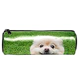 Federmäppchen Etui Stifttasche Make-up Tasche Glücklicher pomeranischer Hund mit großen schwarzen Augen und braunen Haaren entspannen Sich Tür für Bleistift, Kosmetik-Org