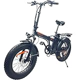 Elektro Klapprad FATBIKE 20' Aluminium (Anthrazit)