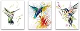 KAIRNE 3er Set Poster Vogel, Aquarell Kolibri Poster Kinderzimmer,Modern Bilder Tiere Babyzimmer,Mehrfarbige Leinwand Tierposter für Kinder,Wandbilder Dekoration für Wohnzimmer S