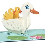 PaperCrush® Pop-Up Karte Ente - 3D Geburtstagskarte für Mutter oder Kinder, Handgemachte Glückwunschkarte mit Baby Enten - Geburtskarte für Zwillinge, Glückwunsch zur Geburt von Mädchen und Jung