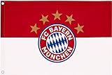FC Bayern Fahne Originalware Flagge 100 x 150 cm Motiv LOGO + Ösen S