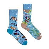 Spox Sox Casual Unisex - mehrfarbige, bunte Socken für Individualisten, Gr. 44-46,