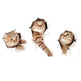 XDH Wandtatoo Wanddeko Süße Katze Wandaufkleber Abnehmbare Wanddekor Aufkleber Wandtattoo für Wohnzimmer Kinderzimmer Wohnzimmer Wohnkultur Wanddek