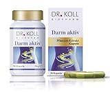Dr. Koll Darm aktiv | Pflanzenextrakt, 100% vegan | Höchste Bioqualität, in Deutschland hergestellt | Aufbau der Darmflora | Natürliches Nahrungsergänzungsmittel (90 Kapseln, 55 g)