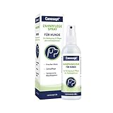 Canosept Zahnpflegespray für Hunde 100ml - Für effektive Zahnreinigung, Zahnpflege, Mundhygiene und frischen Atem - Gegen Mundgeruch - Pflegemittel & Reinigungsmittel für das Hundegeb