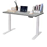 FlexiSpot Elektrisch höhenverstellbarer Schreibtisch| Ergonomischer Steh-Sitz Tisch mit Memory Funk