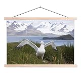 Albatross Riesenposter - Albatros für eine schneebedeckte Berglandschaft 90 x 60 cm - Schulposter mit Naturrahmen - Fotodruck auf Leinwand / Textilposter (Wanddek