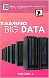 Taming Big Data (English Edition)