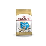 ROYAL CANIN Chihuahua Junior 500 g, 1er Pack (1 x 500 g)