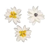 Alpenflüstern Trachten Haar-Curlies Edelweiss Stoffblüten 3-er Set (creme-weiß) ADV114