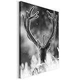 Revolio 50x70 cm Leinwandbild Wandbilder Wohnzimmer Modern Kunstdruck Design Wanddekoration Deko Bild auf Leinwand Bilder 1 Teilig - Natur Hirsch Geweih schwarz-weiß