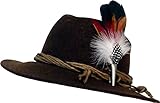 Trachtenhut HutBestellen Landhaushut mit Edler Kleiner Feder Braun 55
