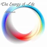 The Energy of L