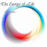 The Energy of L