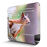 banjado® Briefkasten Edelstahl personalisiert mit Motiv Eichhörnchen 38x43x12cm & 2 Schlüssel - rostfreier Edelstahl Briefkasten mit Zeitungsfach - Postkasten A4 Einwurf inkl. Montag