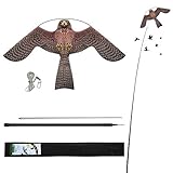 Laptony Vogelscheuche Drachen Bird Scarer Kite Ausziehbarer Vogelschreck mit 4m Glasfaser-Teleskopstab, für Vogelschreck Backyard Lawn F