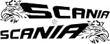 myrockshirt 2X SCANIAAufkleber No232 Greif Seite Spiegel ca. 80 cm Aufkleber LKW Truck Tuning Trucker Sticker D