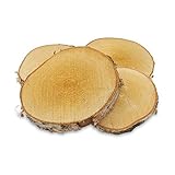 GREENHAUS Baumscheiben aus Deutschland 20-25 cm Durchmesser 10 Stück Holzscheiben groß säg