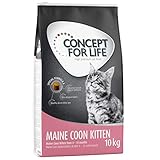 Concept for Life Maine Coon Kitten Trockenfutter für Katzen, 10 kg, für Kätzchen im Alter von 4-15 Monaten, hergestellt mit Reis mit essentiellem T