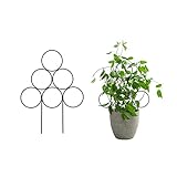 RESOYE 2 Stück Metall-Garten-Rankgitter für Topfpflanzen, 30 x 40 cm, Kletterpflanzen, Stützrahmen für Blumen, Gemüse, Rose, Ranken, Erbse, Efeu, Gurk