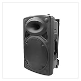 Yousiju Tragbarer Basslautsprecher Bluetooth Subwoofer 12 Zoll Wasserdichter Trolley-Lautsprecher Für Den Außenbereich Musik-Soundsystem Lautsprecher FM-R