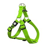 DDOXX Hundegeschirr Nylon, Step-In, Verstellbar, Ausbruchsicher | für kleine, mittel-große & Grosse Hunde | Brust-Geschirr Hund Katze Welpe Auto | Welpen-Geschirr Katzen-Geschirr | Grün, XXS