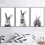 Wandkunst auf Leinwand, niedliches Häschen, schwarz, weiß, nordisch, Poster und Drucke, Wandbilder für Wohnzimmer, Kinderzimmer, Dekoration, 40 x 60 cm x 3 Stück, ohne R