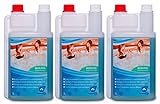 KaiserRein 3 x1 L (3 L) Whirlpool Desinfektionsmittel für die zuverlässige Wasserpflege I Whirlpool Reiniger Desinfektion I Whirlpoolreiniger, Poolreinig