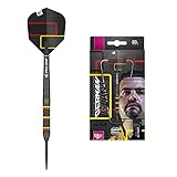 Target Darts - Gabriel Clemens Schwarze 80 80% Wolfram Swiss Point Steeldarts-Set Dartpfeile (24 g)