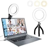 LOVVIY 6' Videokonferenz Licht Clip on Laptop Monitor mit 3 Dimmbaren Farben und 10 Helligkeitsstufen für Webcam Beleuchtung, Zoom Anrufbeleuchtung, Tiktok, YouTube,Make-up und Live Streaming