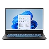 MEDION Defender P15 43,9 (17,3 Zoll 144Hz) Full HD Gaming Notebook (AMD Ryzen 7 5800H, 16GB DDR4 RAM, 1TB PCIe SSD, NVIDIA GeForce RTX 3060 6GB GDDR6, Win 11 Home)