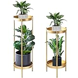 FUNME Hoher Pflanzenständer Metall Pflanzenständer Topfpflanzenständer Indoor 2 Etagen Pflanzenständer Display Regal (groß, gold)