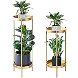 FUNME Hoher Pflanzenständer Metall Pflanzenständer Topfpflanzenständer Indoor 2 Etagen Pflanzenständer Display Regal (groß, gold)