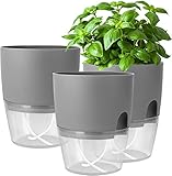 Kräutertopf Küche Set Fensterbank selbstbewässernd-3er Set Kräutergarten für die Küche,18.2X 11x 15.3 cm, für frische Küchenkräuter, G