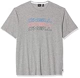 O'Neill Herren LM Triple Logo T-Shirt, Grau (Silver Melee), S