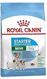 ROYAL CANIN Hundefutter Mini Starter 3 kg, 1er Pack (1 x 3 kg)