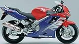 MIVV Auspuff oval Edelstahl kompatibel mit Honda cbr 600 f 1999 2000