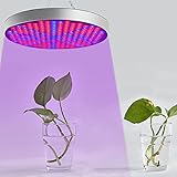 YRHome 50W 250LEDs Pflanzenlampe Pflanzenlicht Pflanze Wachsen Licht Grow Light Panel mit Rot Blau IR UV für Gewächshaus Hydroponik Grow Box Veg Wachstum Pflanzenlabor Gemü