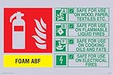 Dieser Löscher enthält AFF Foam ABF Gebrauchsanweisung (evtl. nicht in deutscher Sprache), Schild, 150 x 100 mm, A6L
