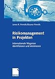 Risikomanagement in Projekten: Internationale Wagnisse Identifizieren und Minimieren (German Edition)