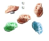2 x Kaugummiversteck Kaugummi Nano Geocaching Secret Hide Chewinggum Nano mit 2 x Logstreifen magnetisch Geocaching Versteck Micro N