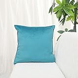 LDRHUY Samt Kissenbezug 2er Set Kissenhülle Dekorative für Sofa Couch Schlafzimmer Wohnzimmer (Hellblau, 45x45cm)