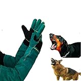 TONGS Handschuhe Zum Katze Hund Vogel Schlange Papagei Eidechse,Anti-Biss/Kratzer Tiere Schutz Handschuhe,Haustier Ausbildung Sicher Handschuhe Sicher Dauerhaft/Grün / L60