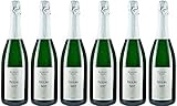 Ernst-Peter Schilling St. Kiliansberg Riesling Sekt 2018 Brut (herb) (6 x 0.75 l)
