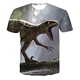 XRHYJK Herren 3D Druck T-Shirt Sommer Beliebtes Herren T-Shirt Chamäleon 3D-Tierdruck T-Shirt Jugendmode Streetwear O-Ausschnitt Schnell Trock