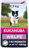 Eukanuba Welpenfutter mit Lamm & Reis für kleine und mittelgroße Rassen - Trockenfutter für Junior Hunde, 2,5 kg