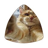 6pcs Getränke Untersetzer Dreieck Leder Kaffee Untersetzer Hitzebeständige Bar Untersetzer Zuhause oder Bar Tasse Becher Lustige Drachenorange Katzen E