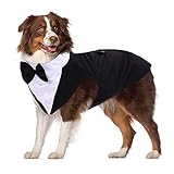 PUMYPOREITY Dog Hochzeit Anzug, Smoking-Kostüme, Formelle Party-Outfits Shirt Hund Kleidung Hundefliege Hochzeit mit Abnehmbarem Schleife Bandana für Kleine Mittelgroße Hunde(Schwarz, XXL)