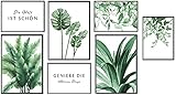 KAIRNE 7er Set Premium Poster,Moderne Poster Set Wohnzimmer,Grüne Pflanzen Bild,Inspirierende Zitate Wandbild,Aquarell Grüne Blätt Monstera Bilder für Schlafzimmer Deko,3xDIN A3+4xDIN A4,Ohne R