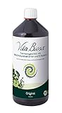 Vita Biosa Kräuter 1 Liter, Öko | Die frische und saure V
